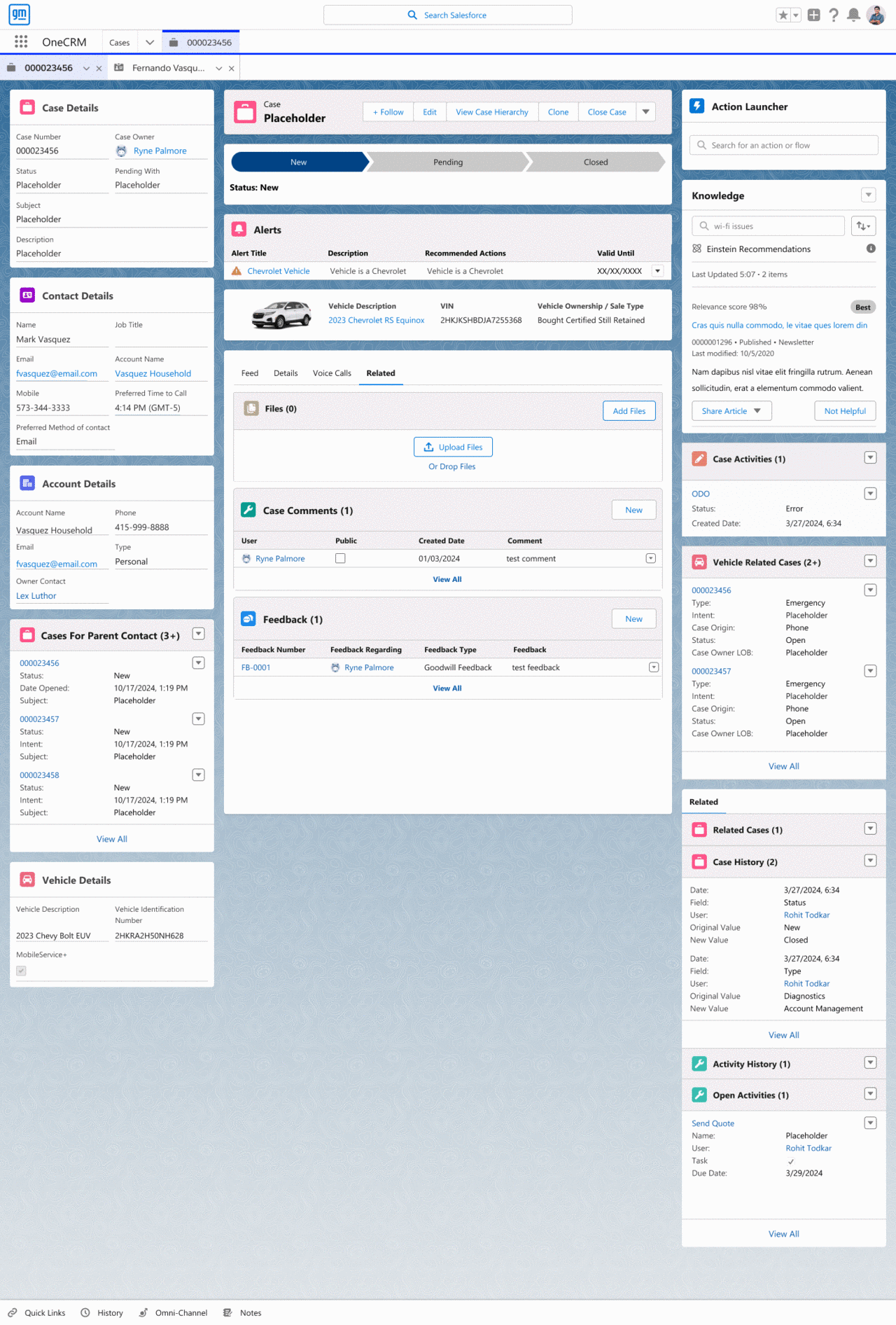 Case 360 workspace